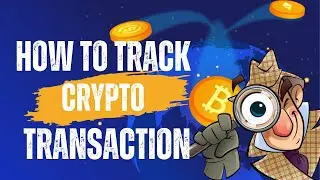 How Track Crypto Transaction