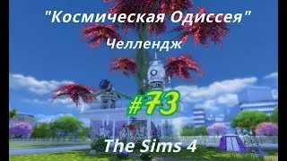 The Sims 4, челлендж  