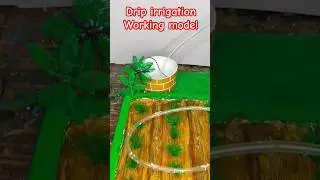 Drip irrigation working model | science project 