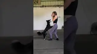 Вот это да! Такого вы точно ещё не видели!