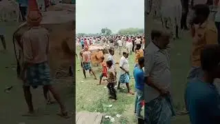 Bakra Eid ki taiyari