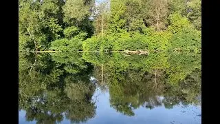 Лесное озеро - АНТИПЛАТНИК. С матчем на 
