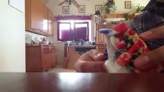 groudlet and lugia snoogle