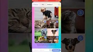ТОПОВЫЕ ФИШКИ Телеграмма|#shorts