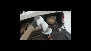 Чай из иголок