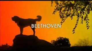 Top 10 Final Seconds of End Credits with Warping Gradients in Different Colors