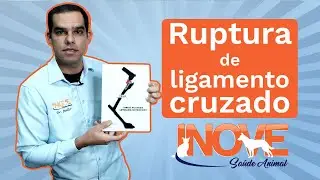 Ruptura do ligamento cruzado em cães