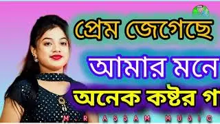 প্রেম জেগেছে আমার মনে / Prem se Amar Mane ♥️ অনেক কষ্টের গান 💞