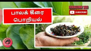 Cooking Palak Keerai Poriyal In A Delicious Way! | பாலக் கீரை பொறியல்