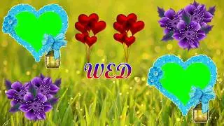 wedding intro green screen effects ||wedding intro template green screen