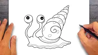 How to draw Sea Snail - Mollusks Drawing
