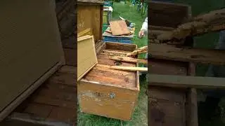 Пасечный нож из немецкой каски...