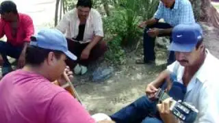 ligui