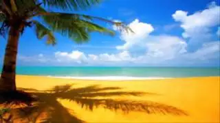 DJ Benchatrox- Party in the tropical house