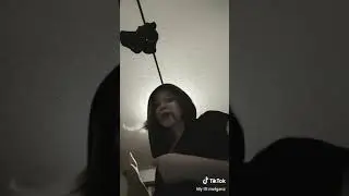 Bitches love cannons