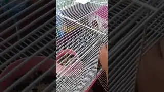 Первое видео на канале