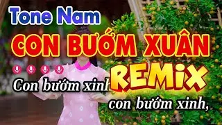 Karaoke Con Bướm Xuân Remix Tone Nam Nhạc Sống 2024