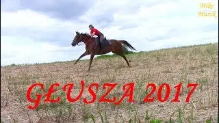 Rajd konny - Głusza 2017 - KJ DERESZ