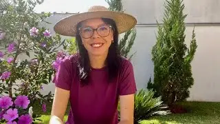VEM CONHECER NOSSO JARDIM / Dracena Vermelha / Dracena Tricolor / poda e mudas.