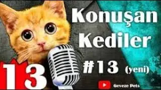 Pisicik TV - Konuşan Kediler 13 - En Komik Kedi Videoları! 🐱‍👤