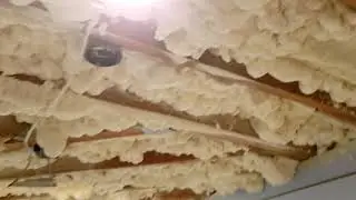 Cauliflower Ceiling