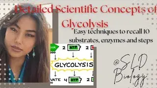 Glycolysis made super easy || Techniques to remember Glycolysis || 