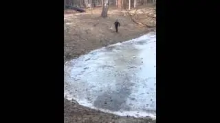 Как Бог/Like as God