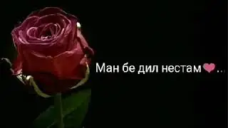 Ман беинсоф нестам!!!