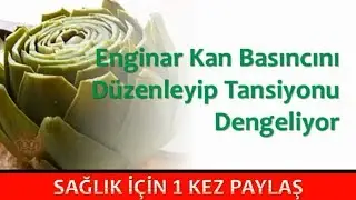 Enginar Kan Basıncını Düzenleyip Tansiyonu Dengeliyor
