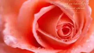 Matthias Reim  - Egal... was soll's (with lyrics)