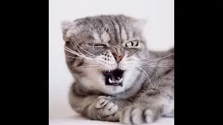 ФЭЙЛЫ/ ВЗВОДНАЯ ИГРА/ ВЫНОС МОЗГА =)