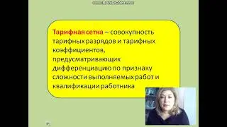 0518000 Учёт и аудит. Менеджмент. Оплата труда.