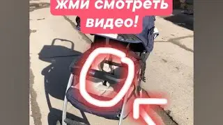 коляска chicco