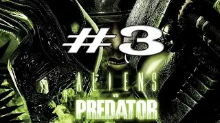 Aliens vs. Predator | Прохождение #3