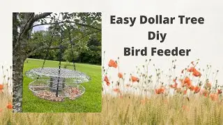 How to make an Easy Dollar Tree DIY Bird Feeder