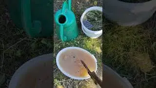 подкормка из доступного, #чехов #дачасадогород