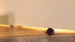 I love my toy