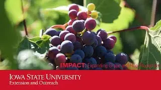 IMPACT: Expanding Grape and Hops Production