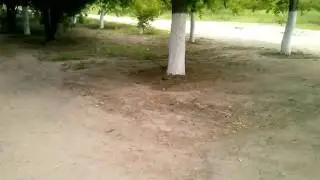 Приколы на до мной!!!