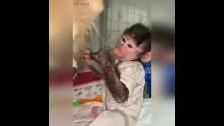 Такая славная семейка. Все чем-то заняты