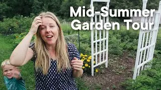 Mid-Summer Garden Tour 2024: Our Successes and Failures