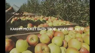 Студенческие сельскохозяйственные отряды (РСО)