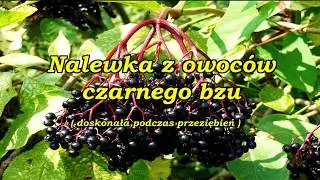 Nalewka z owoców czarnego bzu ( doskonała podczas przeziębień ).