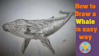 how to draw a whale