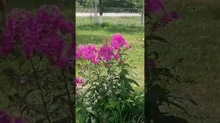 Азербайджан.  Габала.  Чайхона в горах