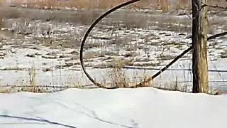 Не хлебом единым.