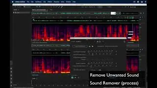 Adobe Audition Tutorials