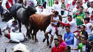 OCTAVO ENCIERRO DE SAN FERMIN 2018 EN FOTOS