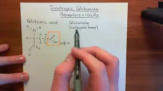 Ionotropic Glutamate Receptors Part 1