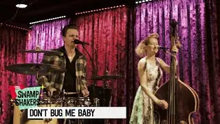THE SWAMP SHAKERS - DON'T BUG ME BABY (LIVE) | Milton Allen Cover